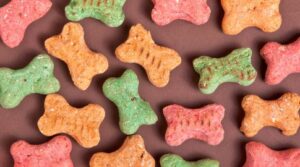Dog Treat Ideas For This Christmas