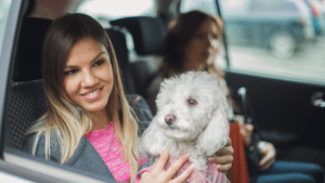 Which Taxi Services in London Are Good for Pet Travel